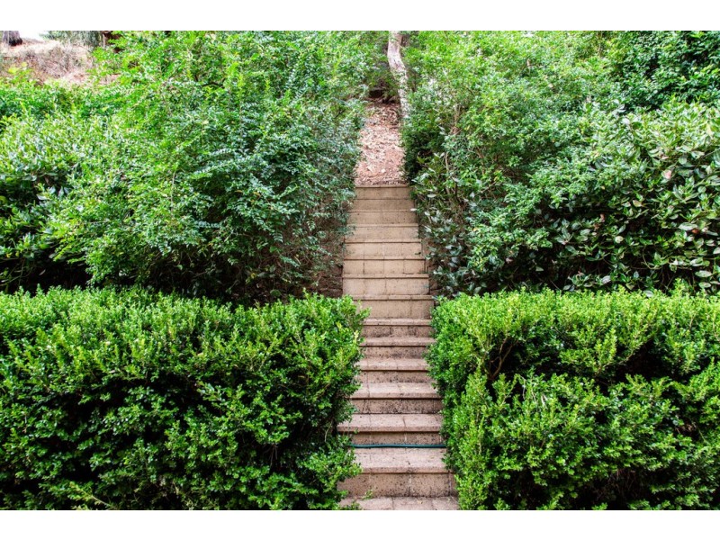 18A John Fisher Drive, Torrens Park SA 5062