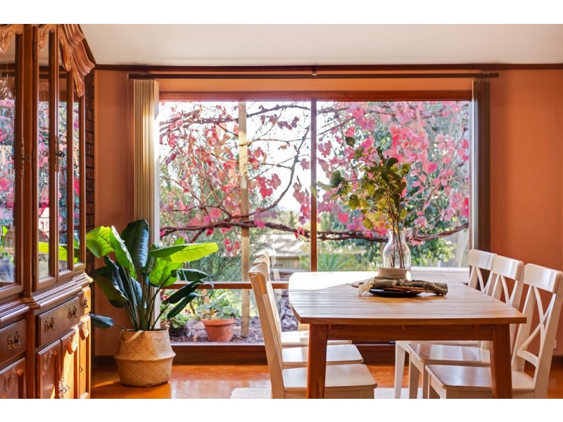 6 Babbage Lane, Pasadena SA 5042