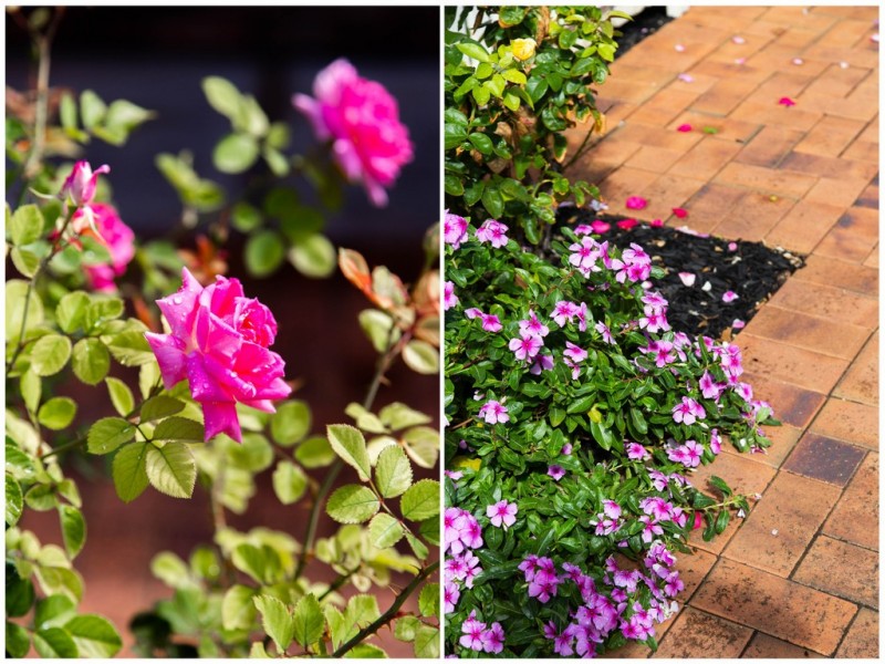 1B Leicester Street, West Richmond SA 5033