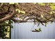 2 Chamberlain Ave, Clarence Gardens SA 5039