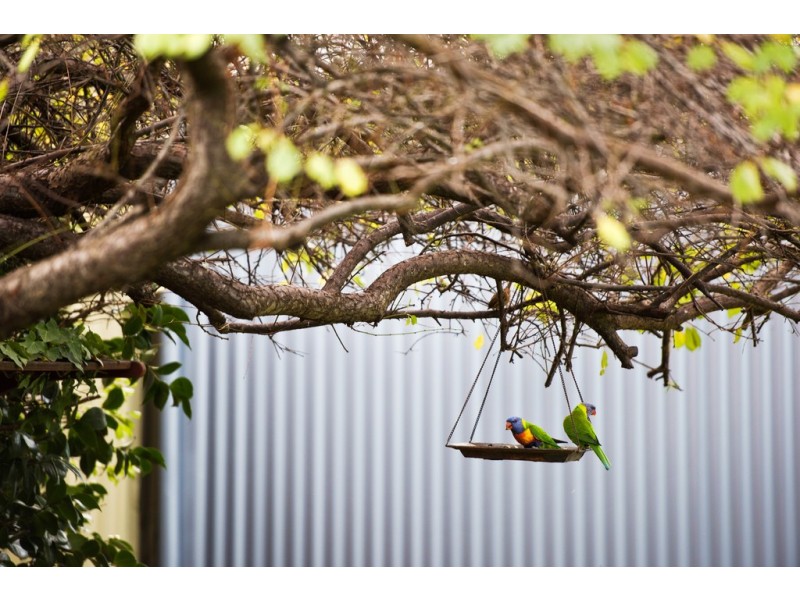 2 Chamberlain Ave, Clarence Gardens SA 5039