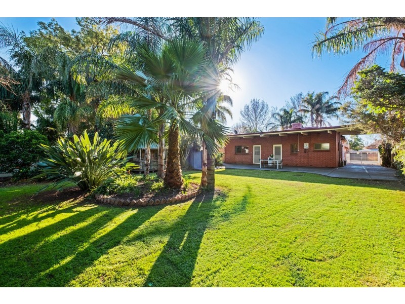 293 Cross Road, Clarence Gardens SA 5039