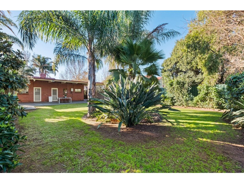 293 Cross Road, Clarence Gardens SA 5039