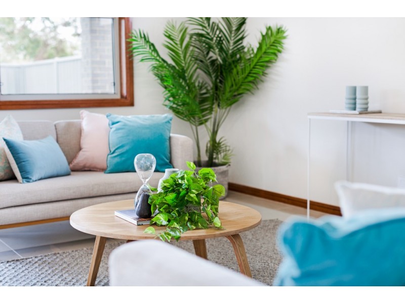 162A Winston Ave, Melrose Park SA 5039