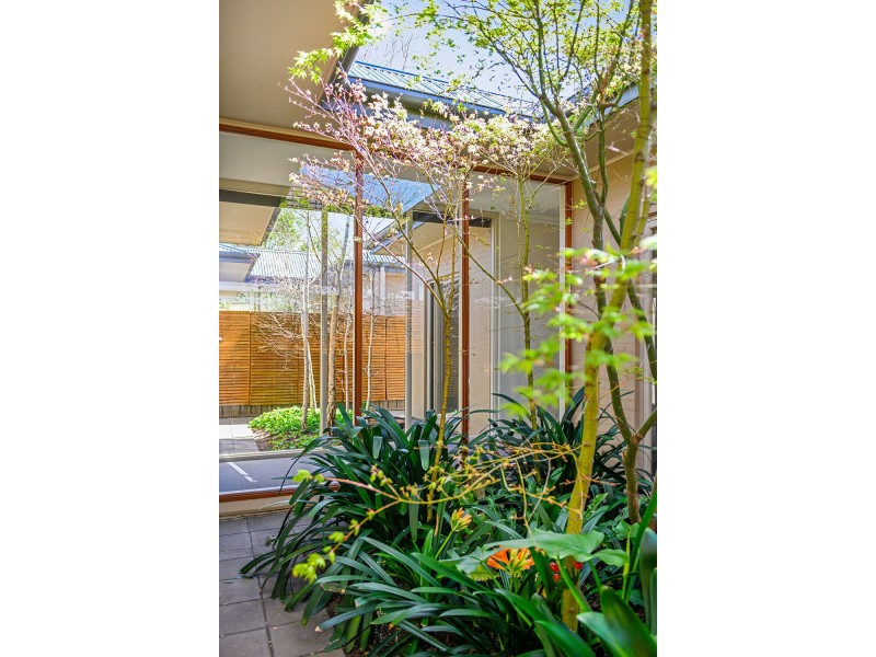 18 Lochness Ave, Torrens Park SA 5062