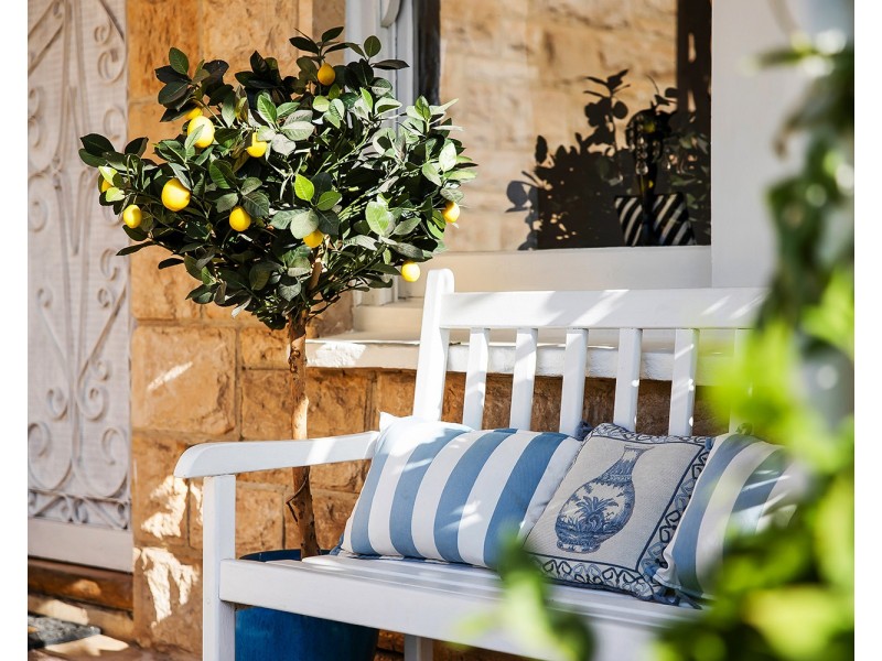 58 Springbank Road, Panorama SA 5041