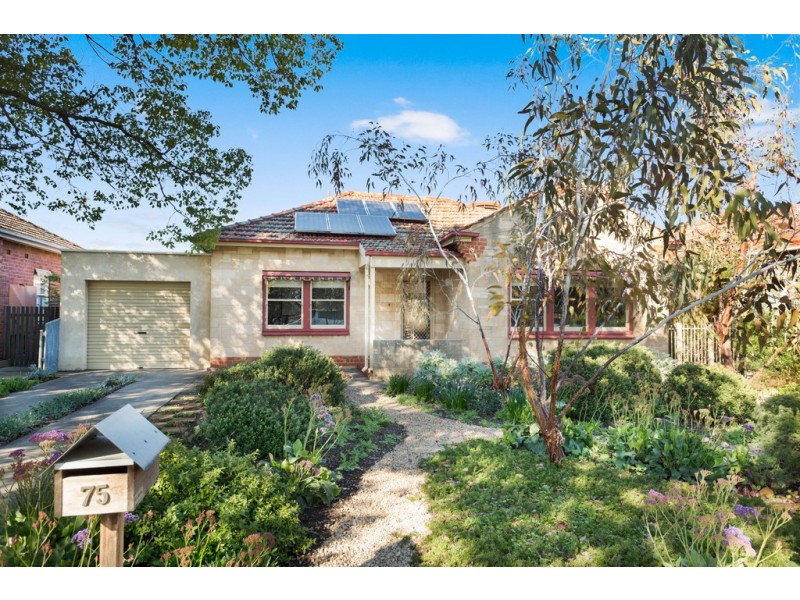 75 Rozelle Avenue, Melrose Park SA 5039