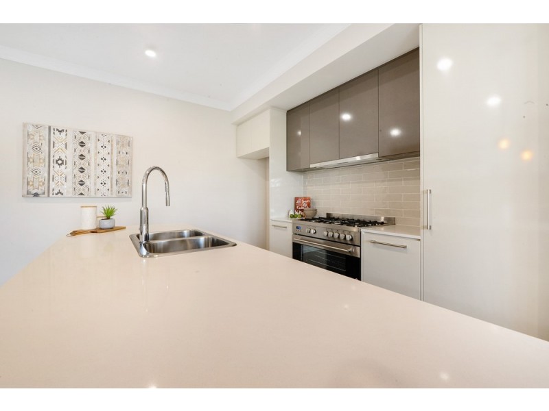 18a Grantley Avenue, Daw Park SA 5041