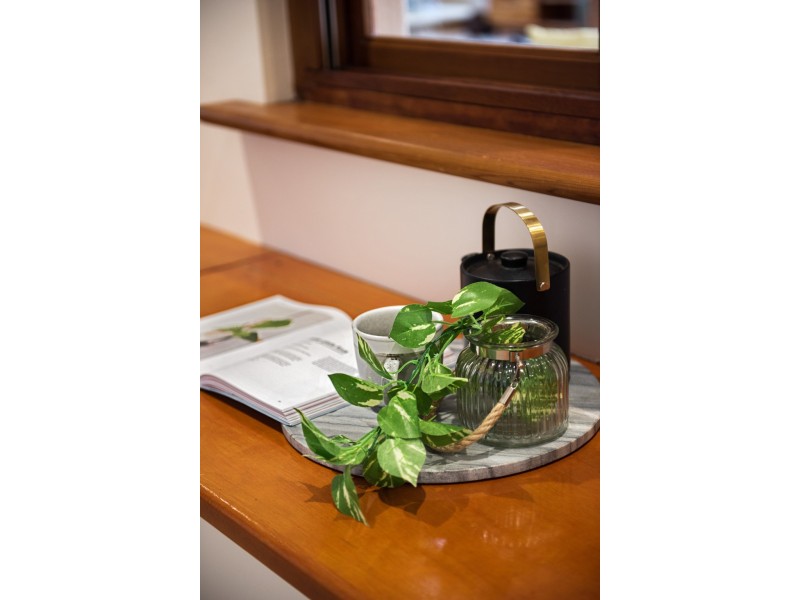 117 Morgan Avenue, Melrose Park SA 5039