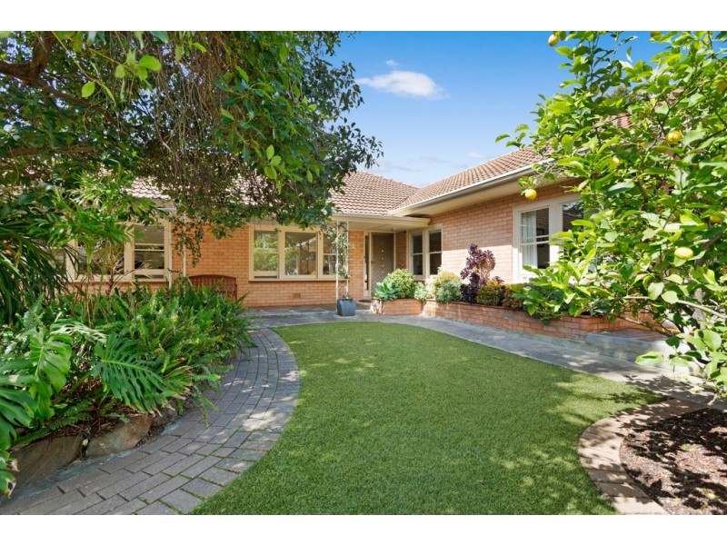 20 Wattle Avenue, Lower Mitcham SA 5062