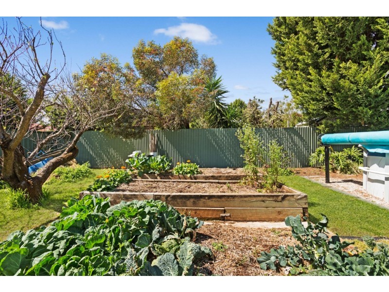 20 Wattle Avenue, Lower Mitcham SA 5062