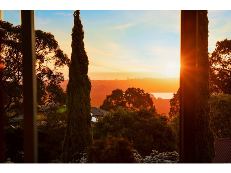 65 Greenfield Rise, Aberfoyle Park SA 5159