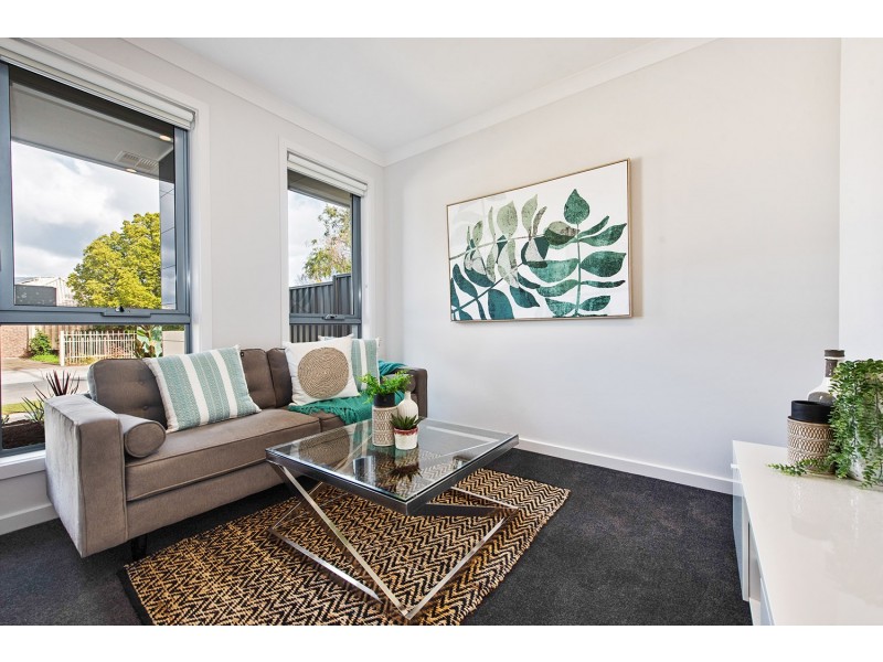 50 Orlando Avenue, Hampstead Gardens SA 5086