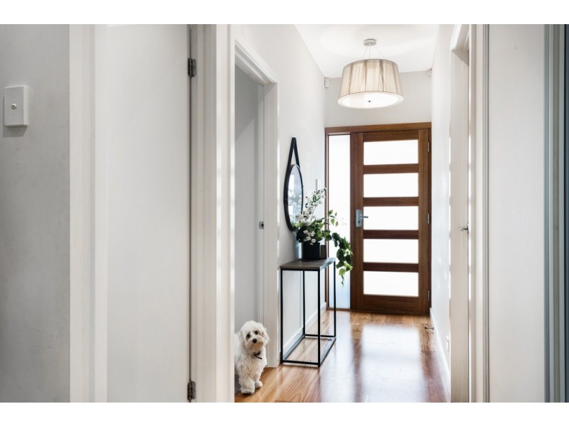 11 Stanley Street, Plympton SA 5038