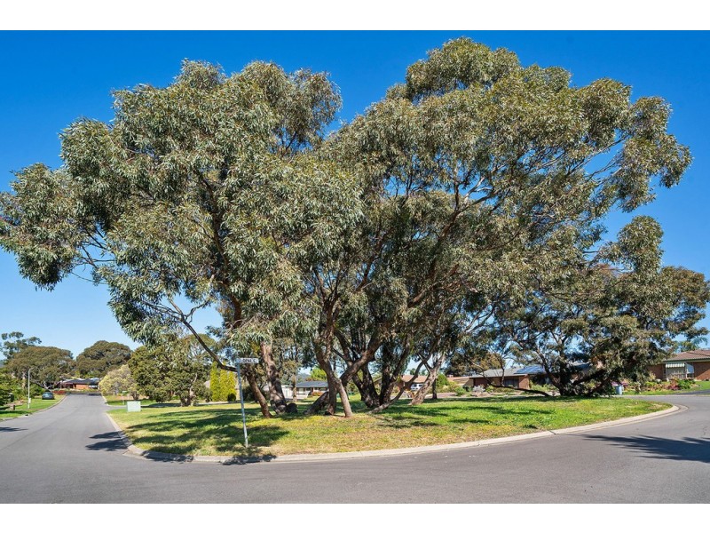 14 Opal Court, Aberfoyle Park SA 5159