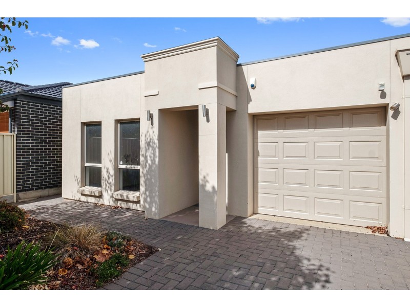 46 Norrie Ave, Clovelly Park SA 5042