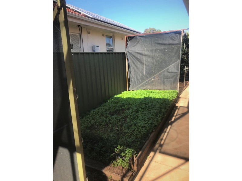 128 Kingston Avenue, Melrose Park SA 5039