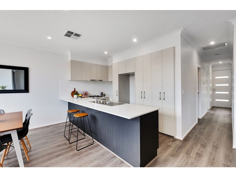 19A Angus Avenue, Edwardstown SA 5039