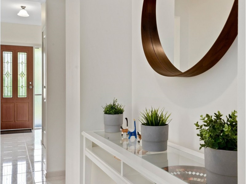 38 Rockville Avenue, Daw Park SA 5041