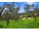 Lot 14, 6 Ash Court, Belair SA 5052