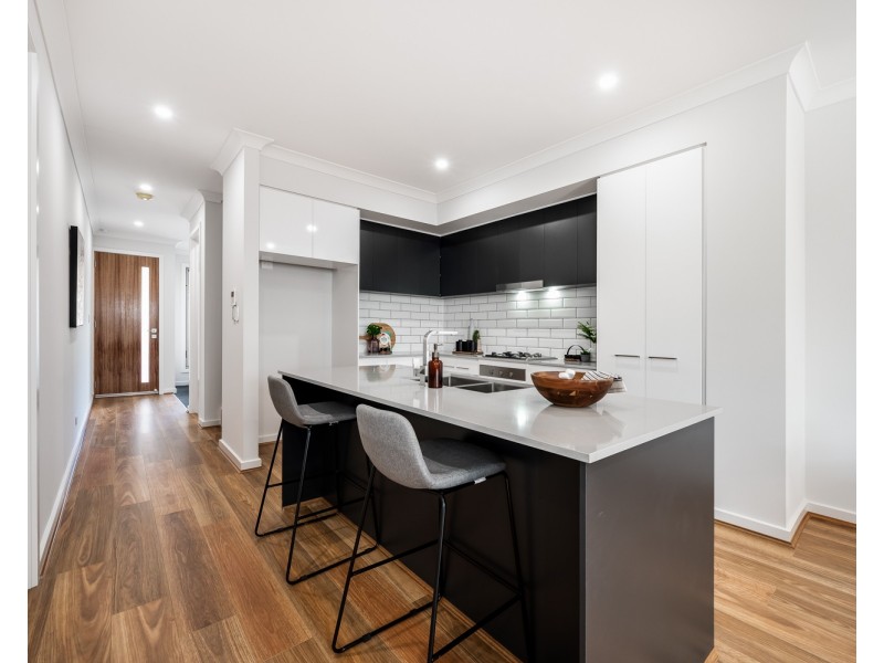 2D Morris Street, Campbelltown SA 5074