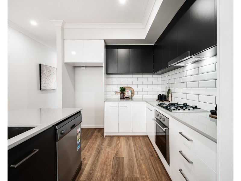 2D Morris Street, Campbelltown SA 5074