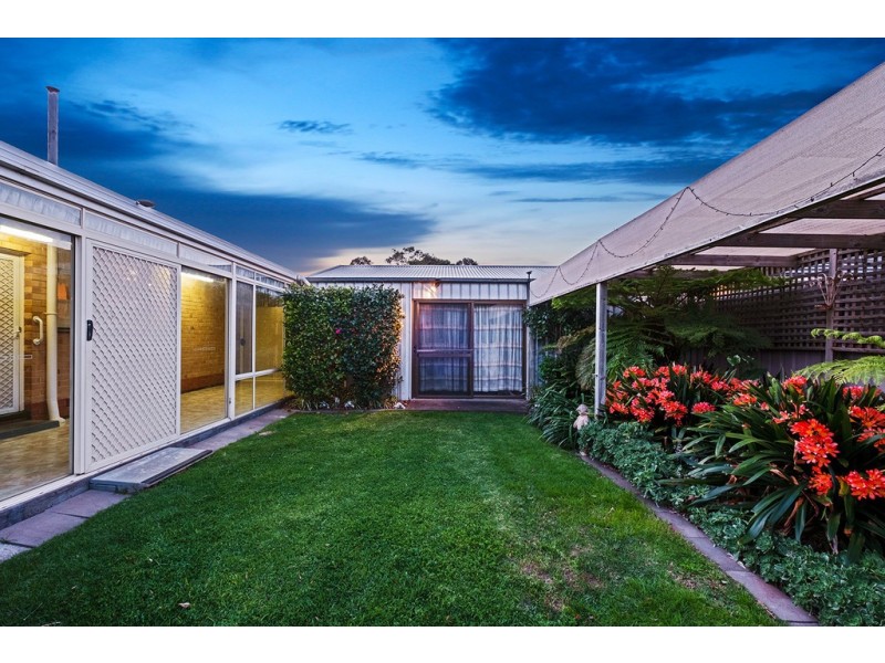 12 Seccafien Avenue, Marion SA 5043