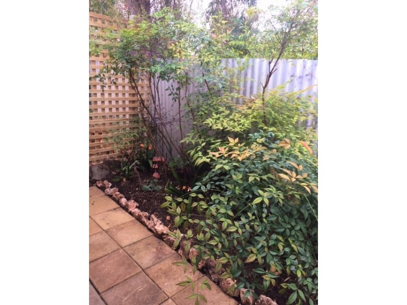 4/28 Kitchener Street, Netherby SA 5062