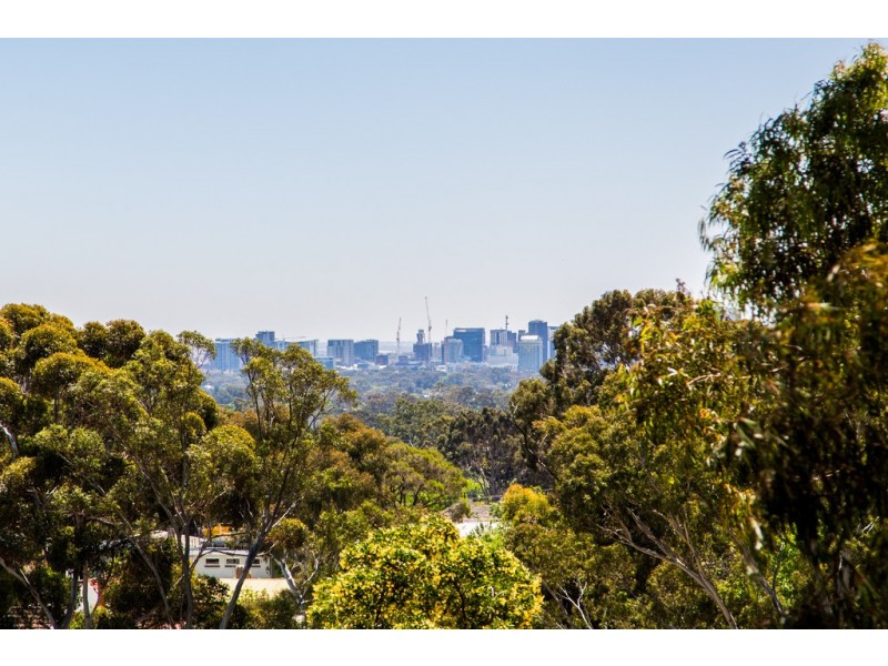 1 Woodland Court, Torrens Park SA 5062