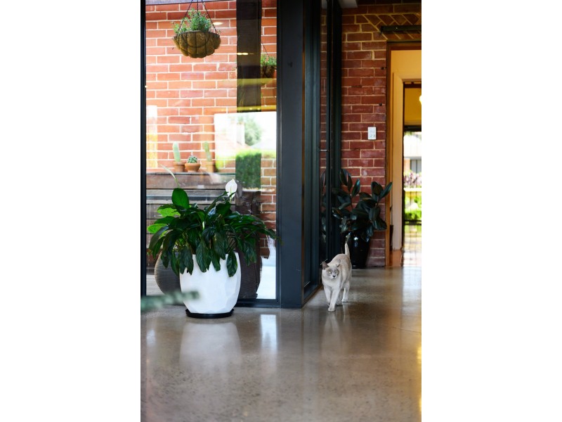 9 Murdoch Ave, North Plympton SA 5037