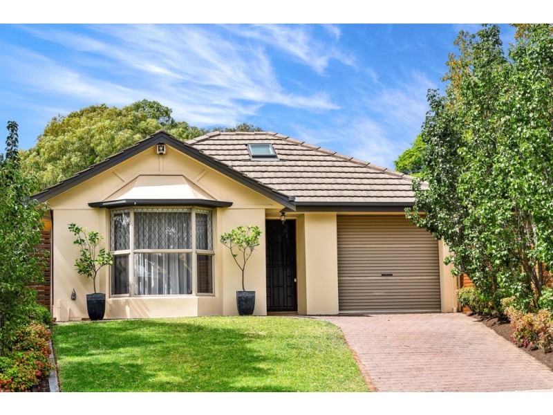 3 Vancouver Avenue, Panorama SA 5041