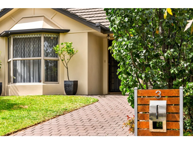 3 Vancouver Avenue, Panorama SA 5041