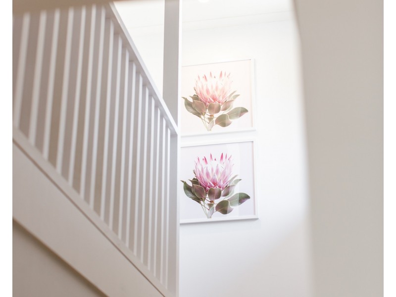 2/142 Anzac Highway (Wellington St frontage), Glandore SA 5037