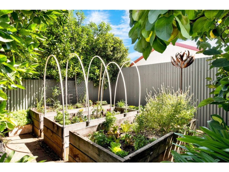 86 Ayers Avenue, Daw Park SA 5041