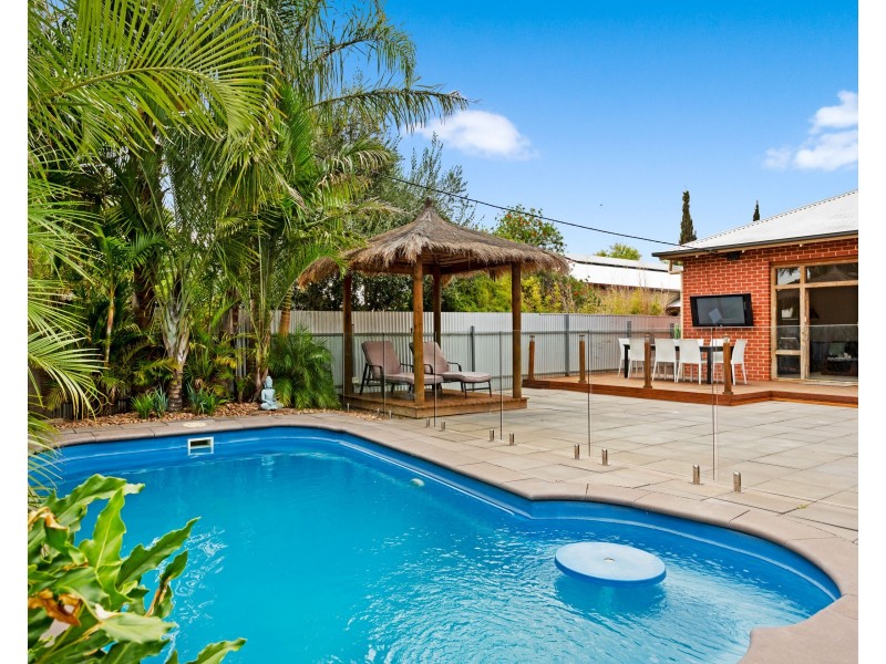 42 Sturt Avenue, Colonel Light Gardens SA 5041