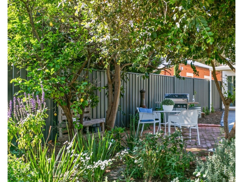 12 Salisbury Crescent, Colonel Light Gardens SA 5041