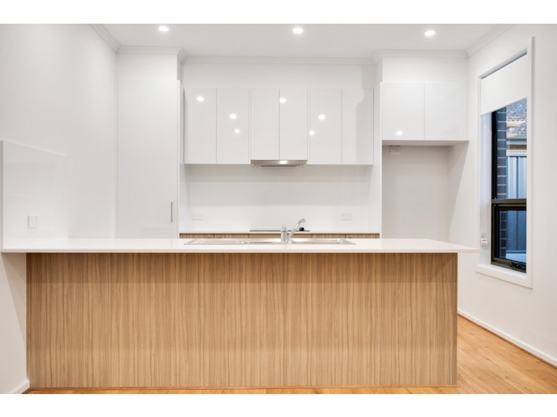 8 Hazel Street, Ascot Park SA 5043