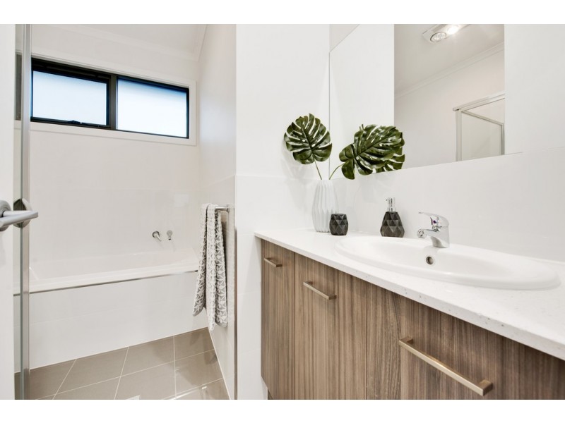 8 Hazel Street, Ascot Park SA 5043