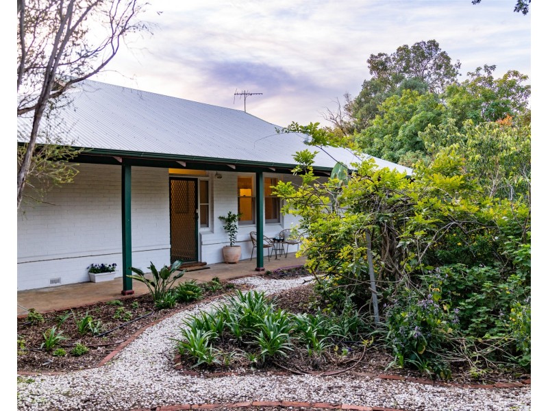 29 Springbank Rd, Colonel Light Gardens SA 5041