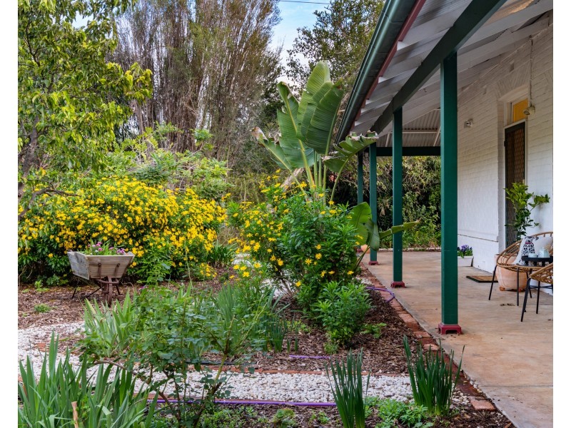 29 Springbank Rd, Colonel Light Gardens SA 5041