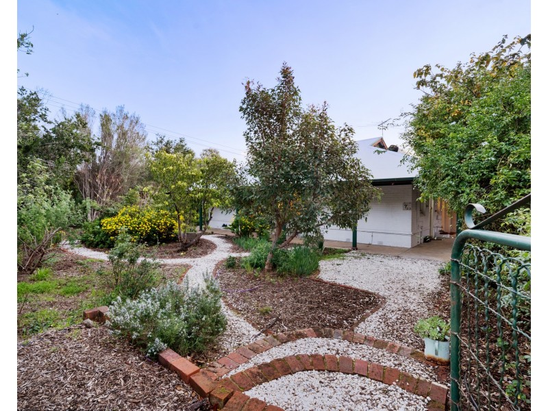 29 Springbank Rd, Colonel Light Gardens SA 5041