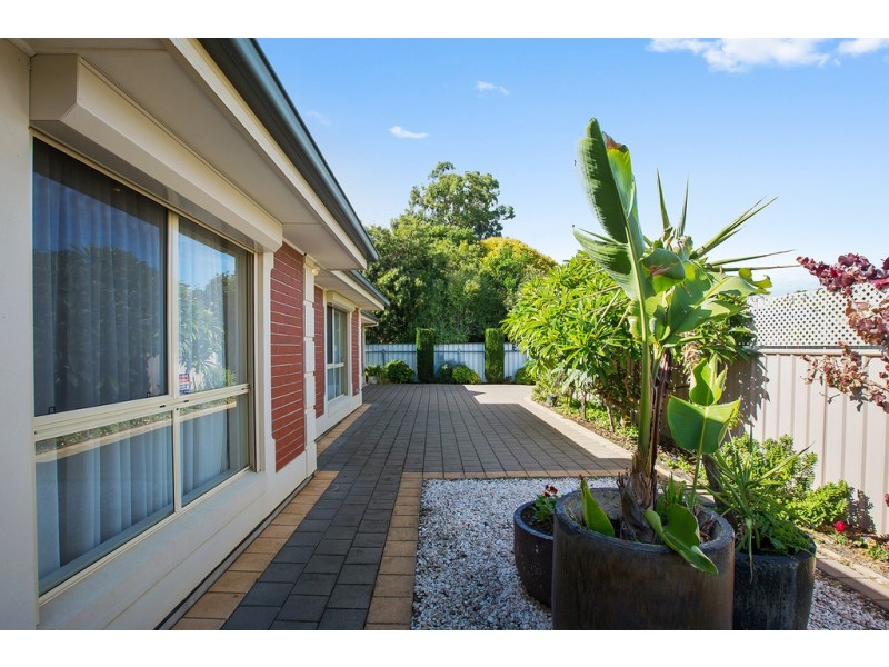 6 Lorraine Avenue, Clarence Park SA 5034