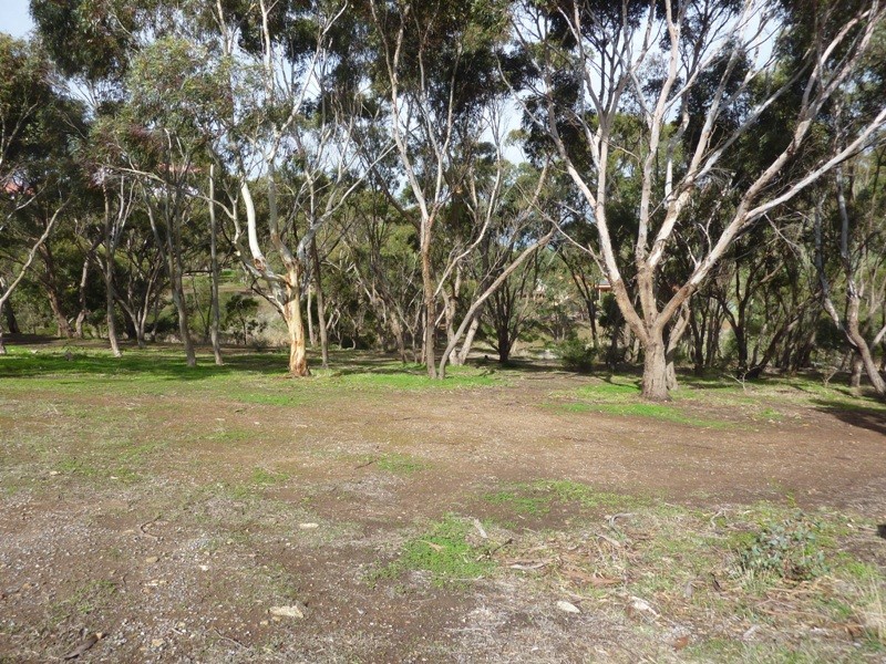 Lot 64 Bayview Ave, Wirrina Cove SA 5204