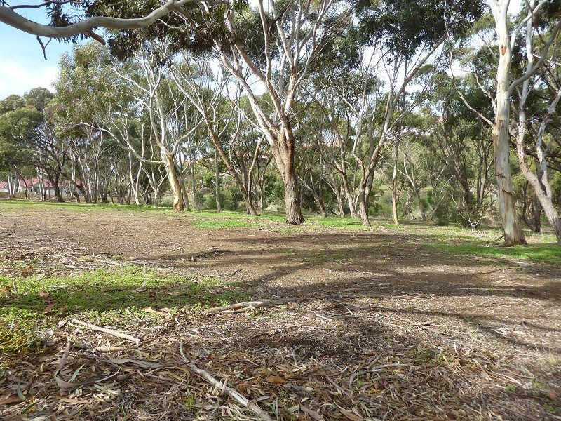 Lot 64 Bayview Ave, Wirrina Cove SA 5204