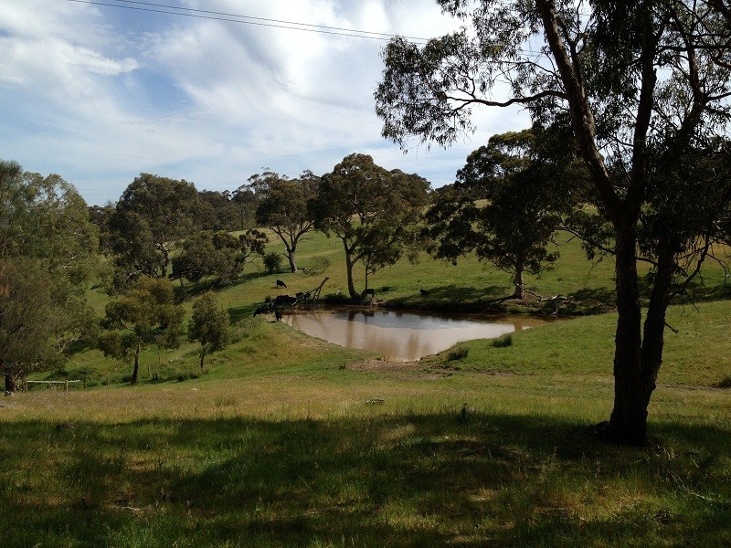 233 Piggott Range Road, Clarendon SA 5157