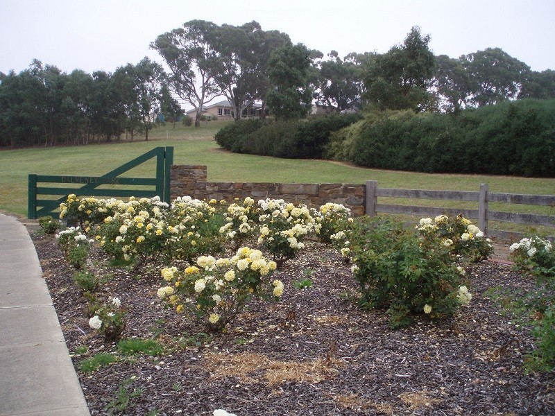 7 Lambert Court, Mount Barker SA 5251