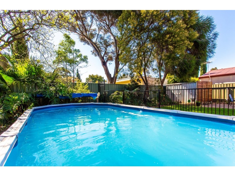 48 Penang Avenue, Colonel Light Gardens SA 5041