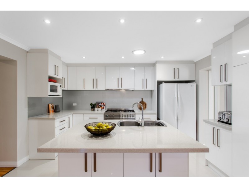 48 Penang Avenue, Colonel Light Gardens SA 5041