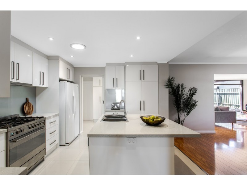 48 Penang Avenue, Colonel Light Gardens SA 5041