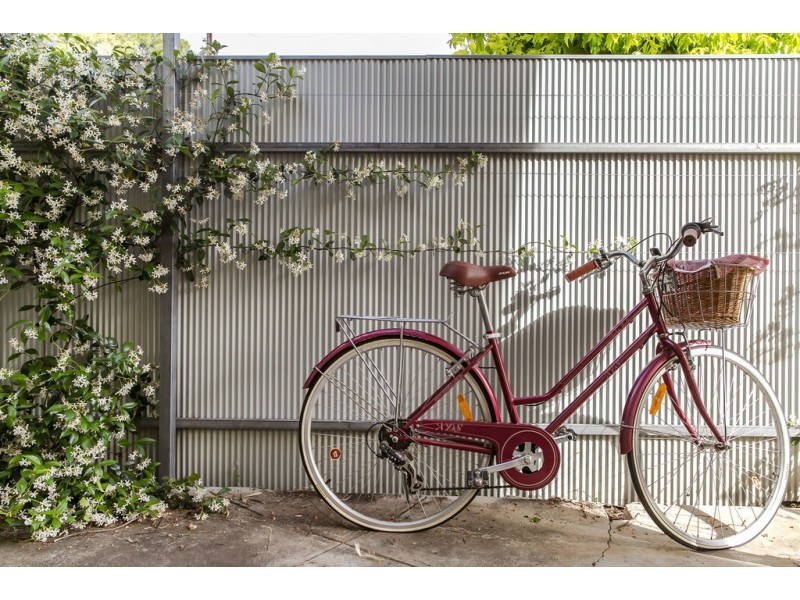 8 Carruth Road, Torrens Park SA 5062